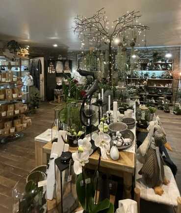 AURAY_OXALIS-BOUTIK_VUE_D_INTERIEUR(1)
