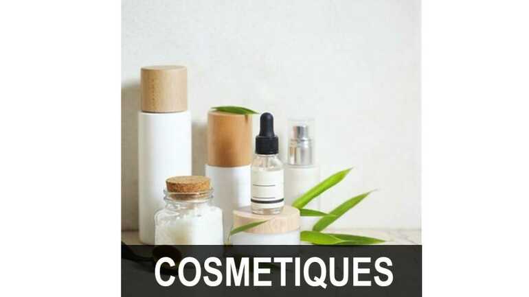 Le comptoir de la mer