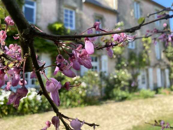 Au coeur du temps Auray