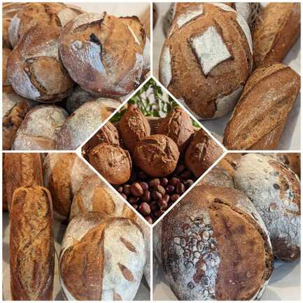 480958414_564929406566346_1210096453902940485_n