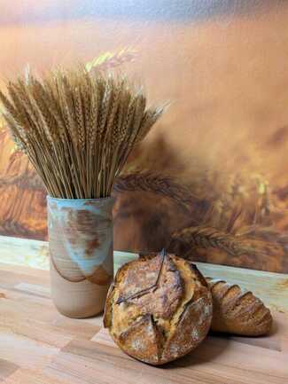 PXL_20251204_074411513