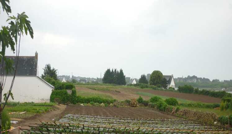petit-potager-carnac