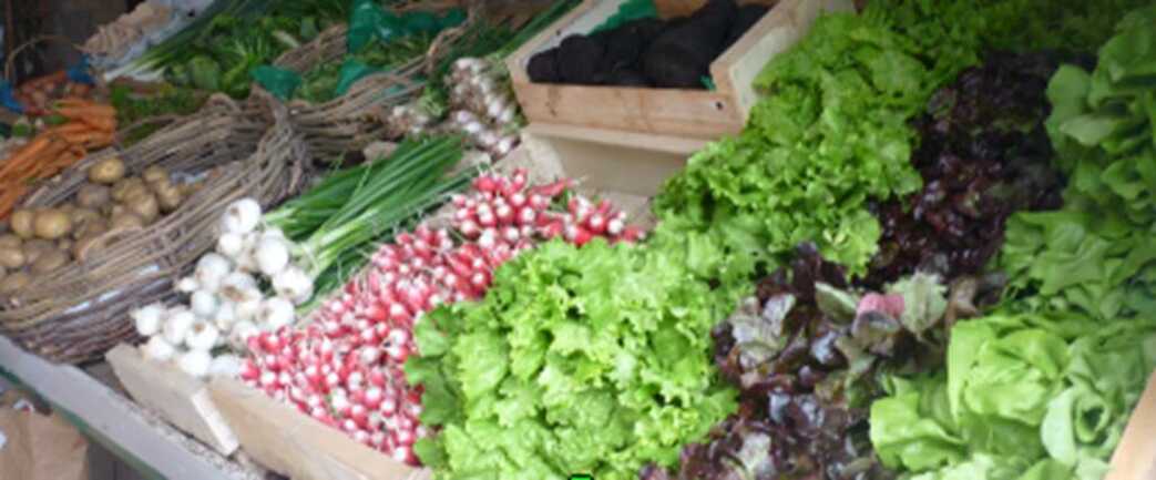 petit-potager-carnac