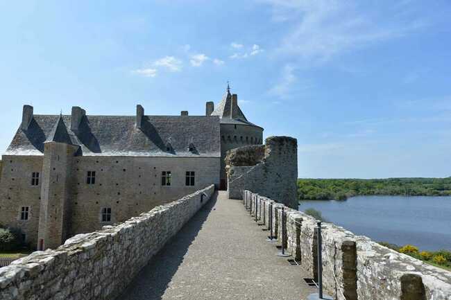 Domaine de Suscinio - Sarzeau - Morbihan - Bretagne Sud-03