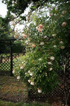 Jardins du Château de Kerambar'h-landaul-morbihan-bretagne-sud