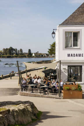 Madame Mouette