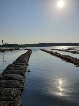 La Cabane de Cadoudal - Huîtres Damerose - LOCOAL MENDON - MORBIHAN  - Bretagne Sud