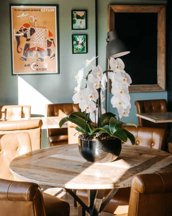 LepuisetteBretonneSaintPierreQuiberon4