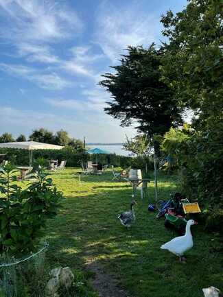 jardin