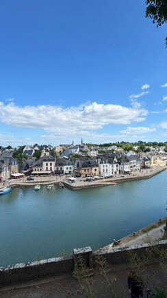 Vue plongeante sur le Port de Saint-Goustan