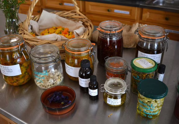 incroyables-chemins-ateliers-plantes-sauvages-medicinales-baume-teinture-mere-huile-maceration