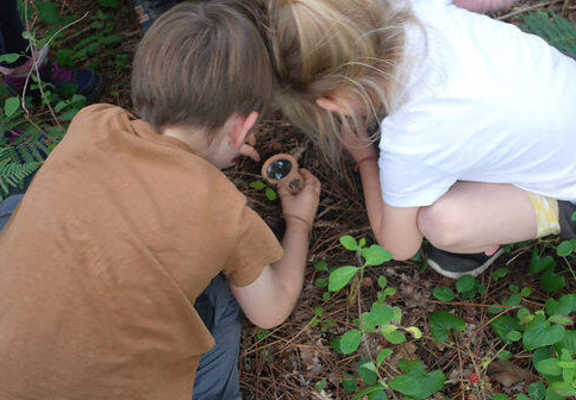 atelier en foret pour les petits