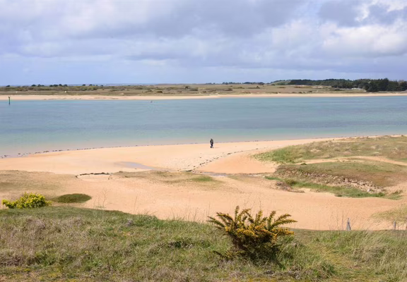 Entre ciel et dunes : observons les oiseaux de la barre d’Etel - Dunes Sauvages
