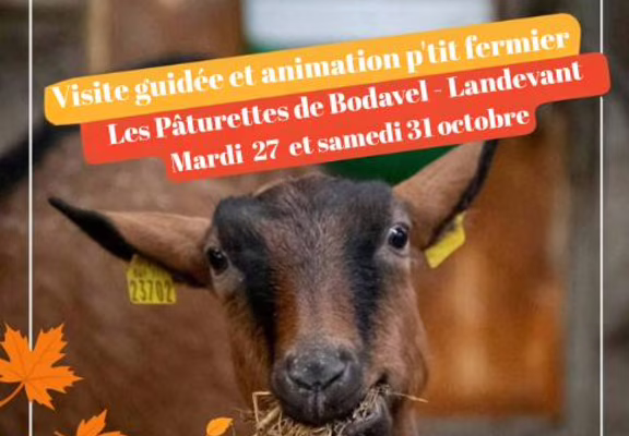 automne à la ferme Les Paturettes