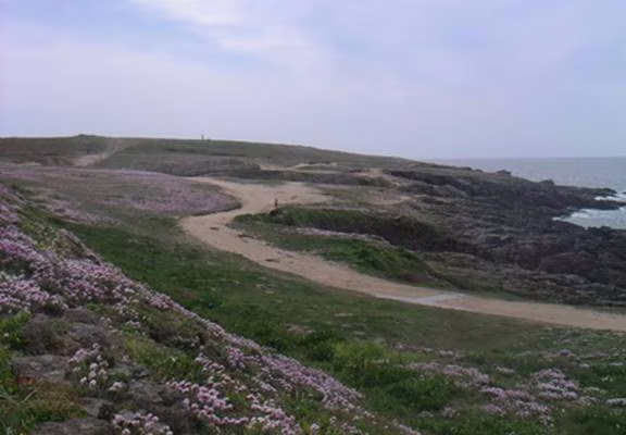 CampingdeKernéQuiberon3