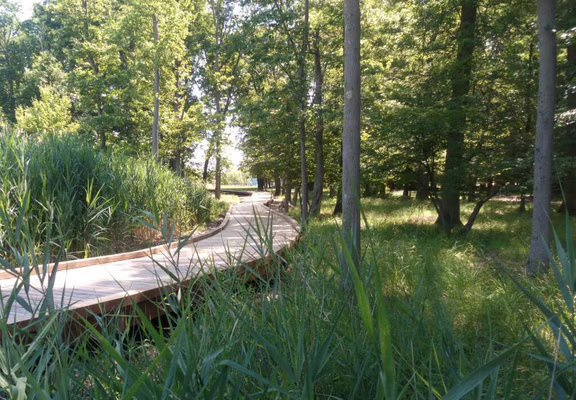 Sentier pédagogique - Ludana Parc -Camors 