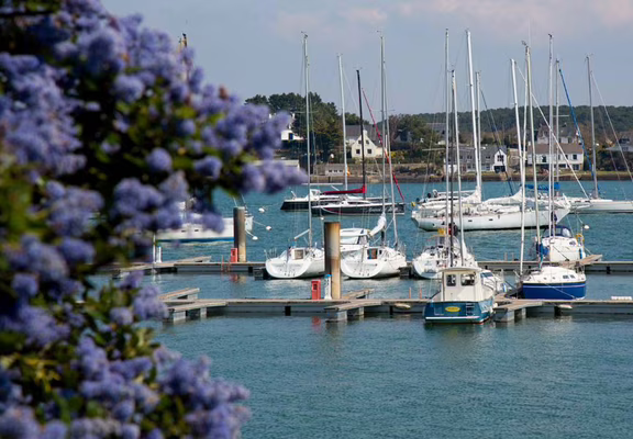 Vue-port-la-trinite-sur-mer-Petit-train-touristique-Carnac-Morbihan-Bretagne-Sud