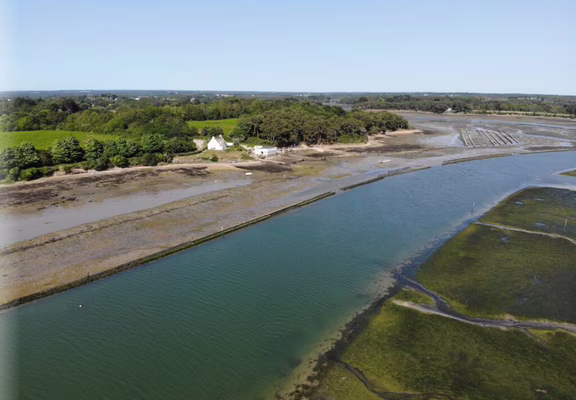 Huîtres Damerose - ostreiculteur traditionnel