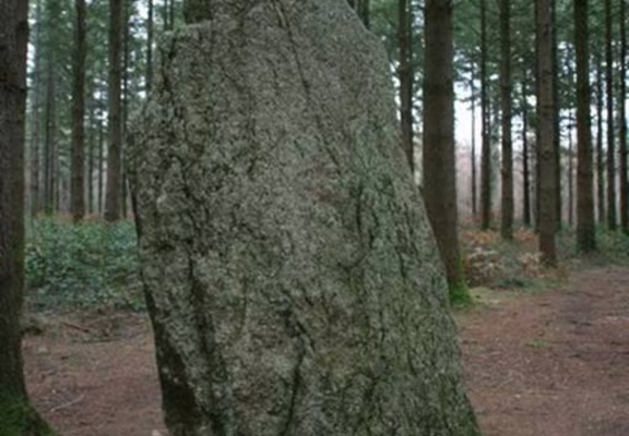 Menhir Vras Camors Morbihan Bretagne-sud